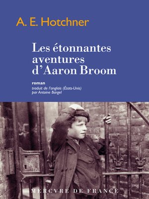 cover image of Les étonnantes aventures d'Aaron Broom